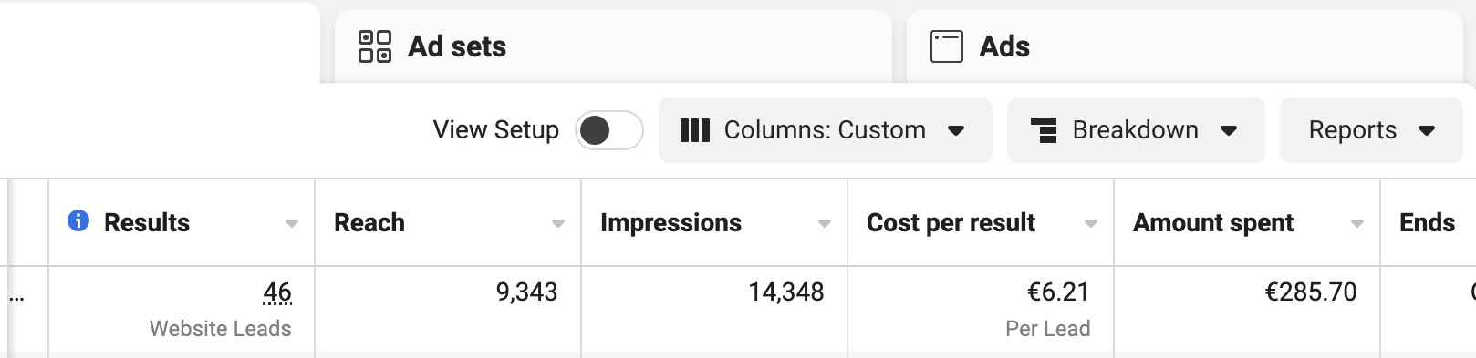46 website leads at €6.21 each.